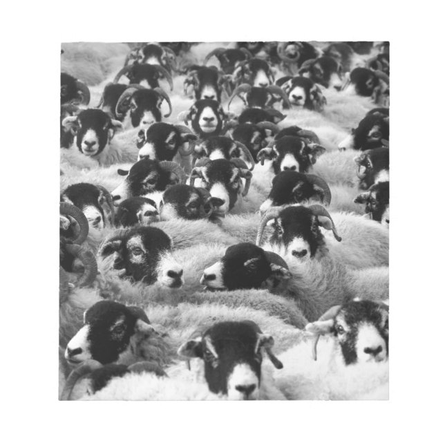 Bloco De Notas CARGAS DE Rams de Preto e Branco (Frente)