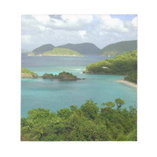Bloco De Notas Caribe, Ilhas Virgens Americanas, St. John, Tronco