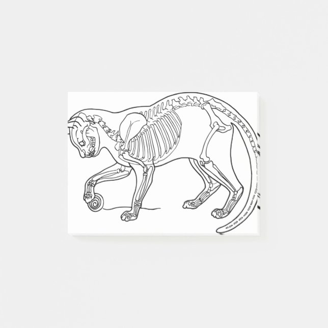 Bloco De Notas Cat Animal Bones Skeleton Line Art Biology (Frente)