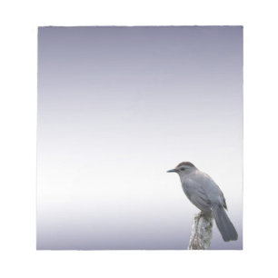 Bloco De Notas Catbird