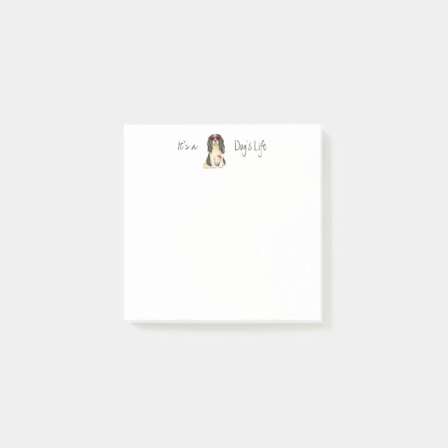 Bloco De Notas Cavaleiro de Verão (Frente)