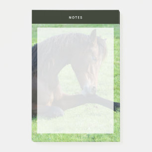 Bloco De Notas Cavalo castanho bonito a vaiar na grama