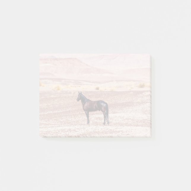 Bloco De Notas Cavalo do Deserto P8664 (Frente)