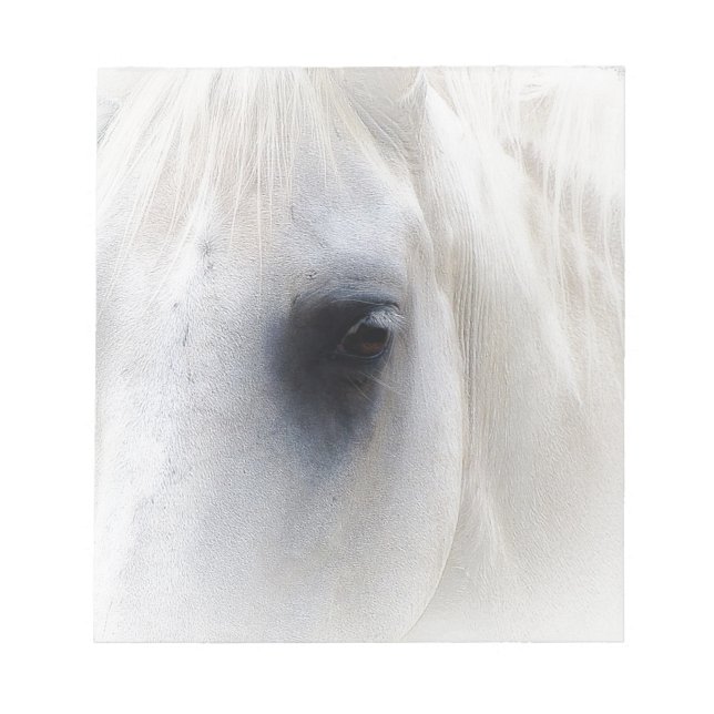 Bloco De Notas Cavalo & floral (Frente)