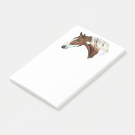 Bloco De Notas Cavalo Pintado Tovero Castanho e Belo