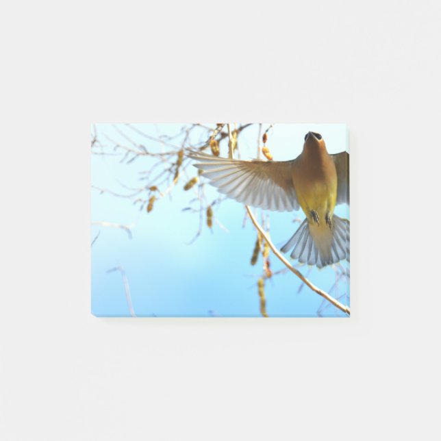 Bloco De Notas Cedar Waxwing em Voo (Frente)