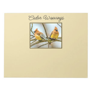 Bloco De Notas Cedar Waxwing - Foto Original