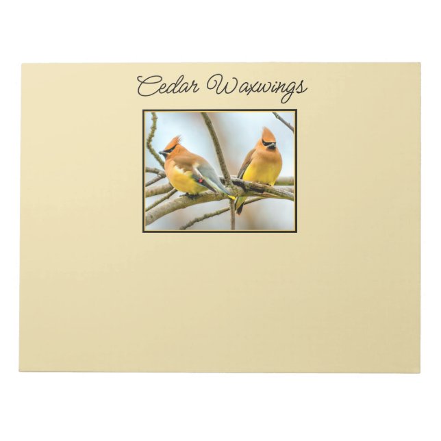 Bloco De Notas Cedar Waxwing - Foto Original (Frente)