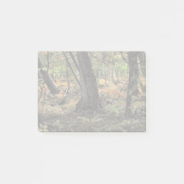 Bloco De Notas Cena de floresta outonal                 