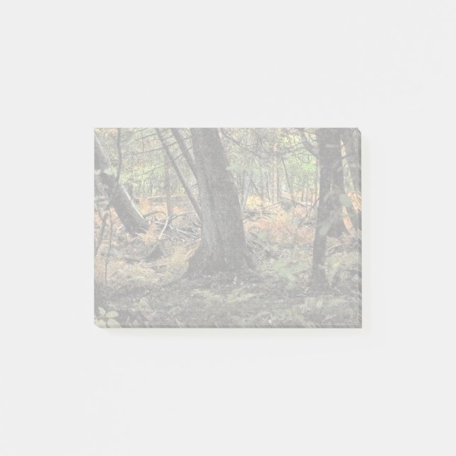 Bloco De Notas Cena de floresta outonal                  (Frente)