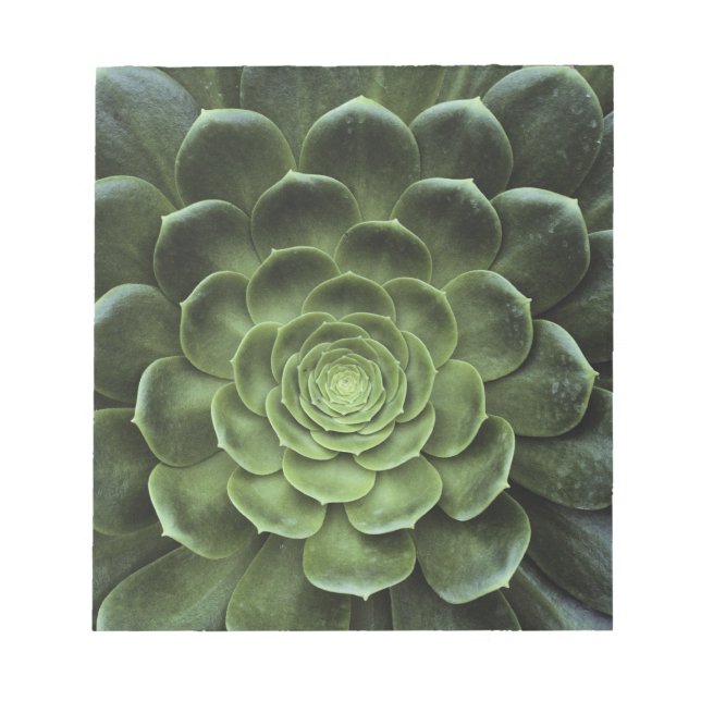 Bloco De Notas Centro de Cactus (Frente)