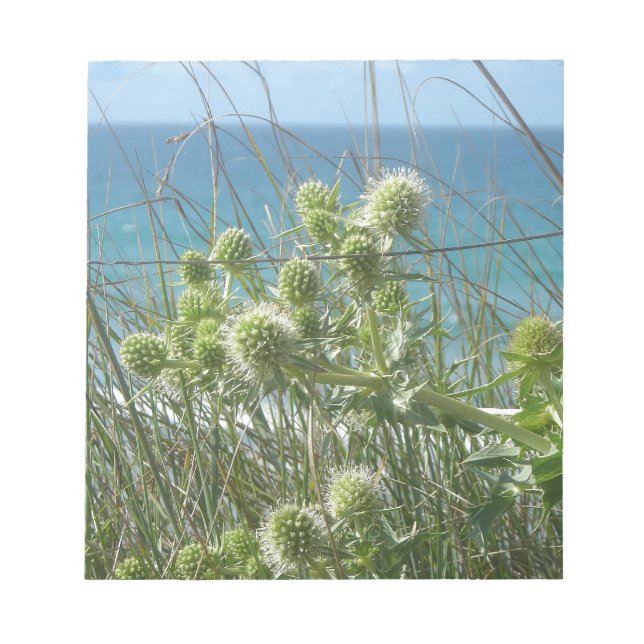 Bloco De Notas chardônios (Frente)