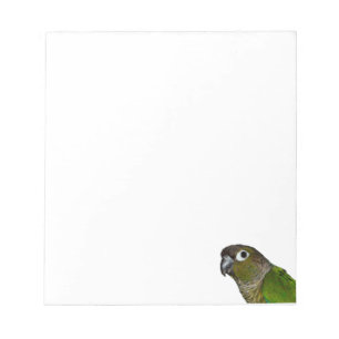 Bloco De Notas Cheeked verde Conure