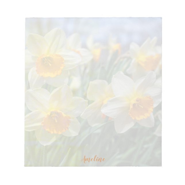 Bloco De Notas Cheery Daffodils (Frente)