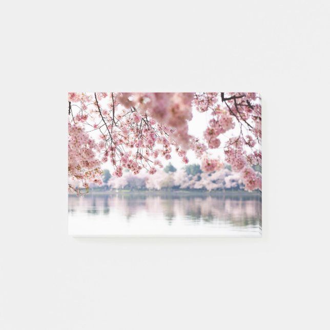Bloco De Notas Cherry Blossoms (Frente)