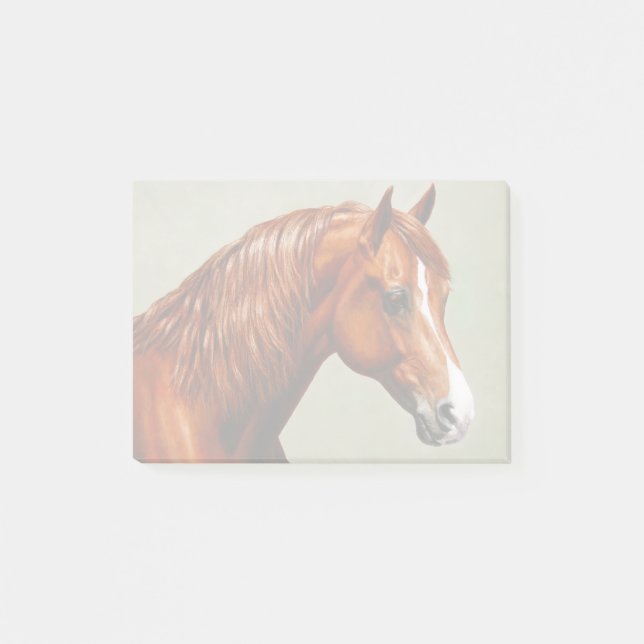 Bloco De Notas Chestnut Morgan Horse (Frente)