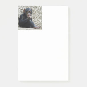 Bloco De Notas Chimpanzee 013