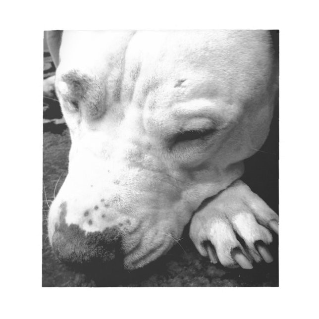 Bloco De Notas cicatriz do harry potter cachorro pit bull branco (Frente)
