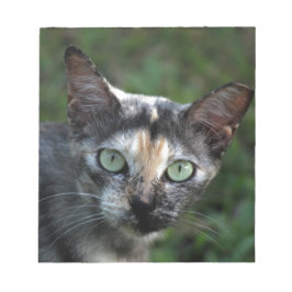 Bloco De Notas Cinza de Gato Branco Castanho com Olhos Verdes