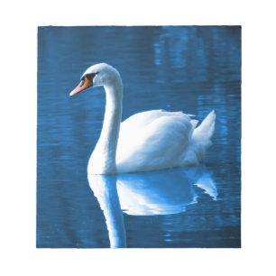 Bloco De Notas Cisne branca bonita na água