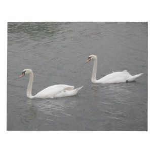 Bloco De Notas Cisnes no rio Notepad