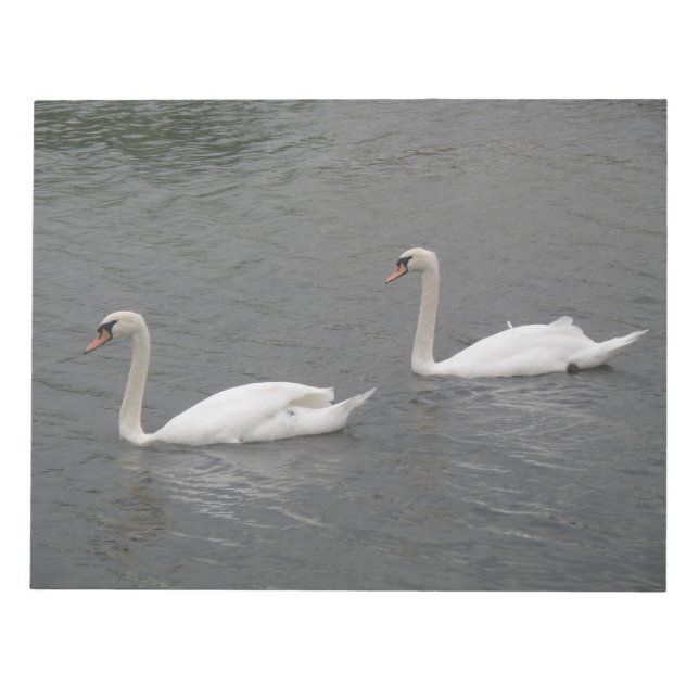 Bloco De Notas Cisnes no rio Notepad (Frente)