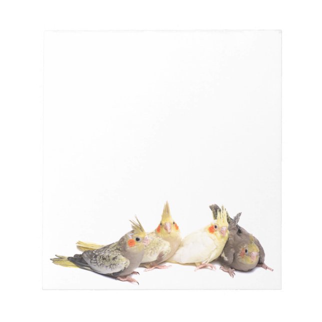 Bloco De Notas Cockatiels (Frente)