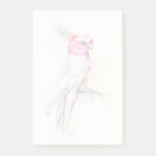 Bloco De Notas Cockatoo