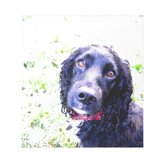 Bloco De Notas Cocker Spaniel (Frente)
