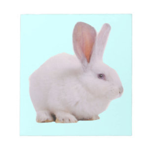Bloco De Notas Coelhinho Bunny Kawaii Fofo