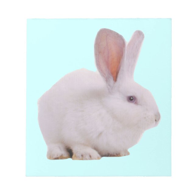 Bloco De Notas Coelhinho Bunny Kawaii Fofo (Frente)
