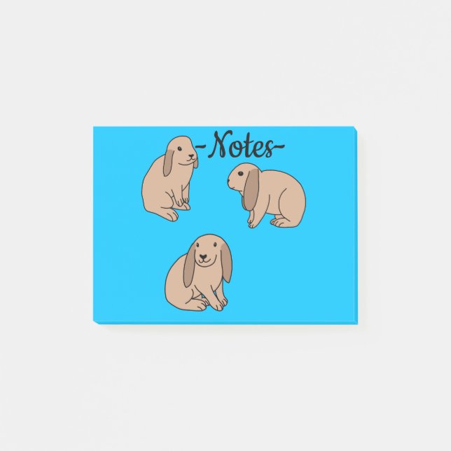 Bloco De Notas Coelhos de orelhas caídas (Frente)