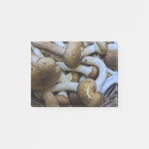 Cogumelos de mel, Apiata, Armillaria, opyenok