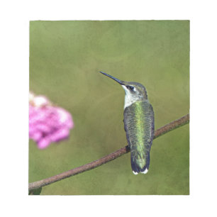 Bloco De Notas Colibri e Zinnia