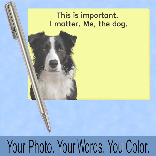 Bloco De Notas Collie or Your Dog Photo—Stocking Stuffer Cute (Criador carregado)