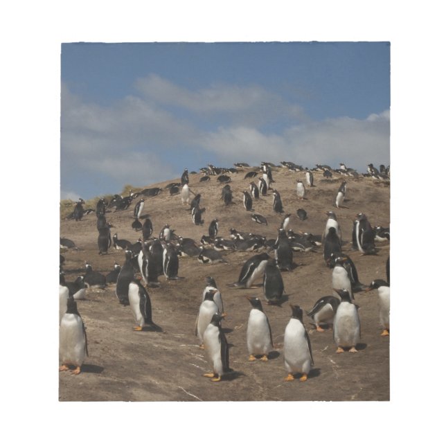 Bloco De Notas Colônia de Pinguim Gentoo (Pygoscelis papua) no Oe (Frente)