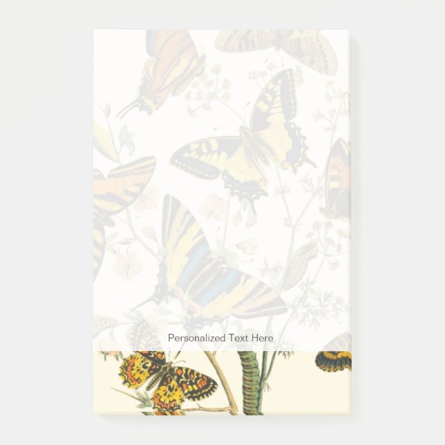 Bloco De Notas Coloração das borboletas e lagartas (Frente)