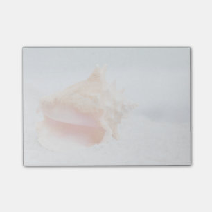 Bloco De Notas Conch Shell