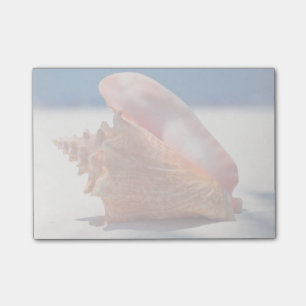 Bloco De Notas Conch Shell na praia 2