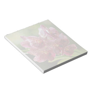 Bloco De Notas Conjunto tropical da orquídea de Vanda