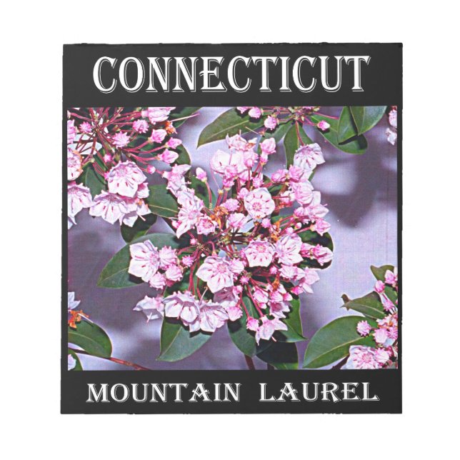Bloco De Notas Connecticut Mountain Laurel (Frente)