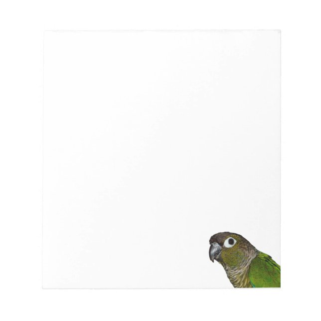 Bloco De Notas Conure de Olho Verde (Frente)