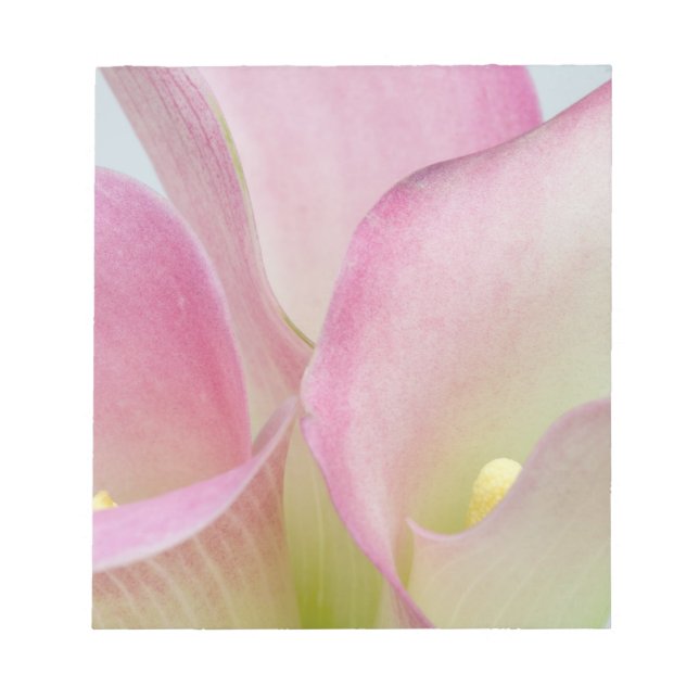 Bloco De Notas Copos-de-Leite Rosas (Frente)