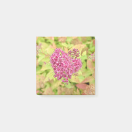 Bloco De Notas Coração Flor Natural - perfurado pela seta.