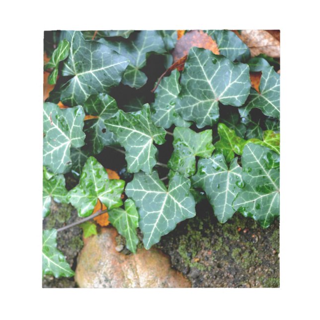 Bloco De Notas Costa do Marfim e pedra de campo (Frente)