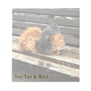 Bloco De Notas Cuecas Catnap