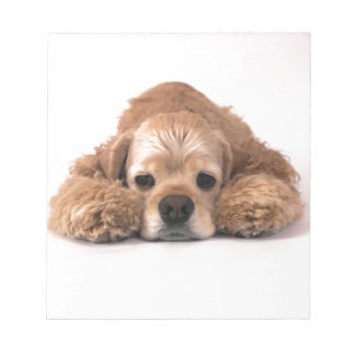 Bloco De Notas Cute Cocker Spaniel