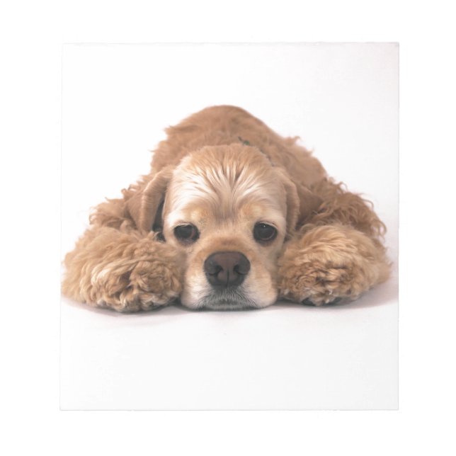 Bloco De Notas Cute Cocker Spaniel (Frente)