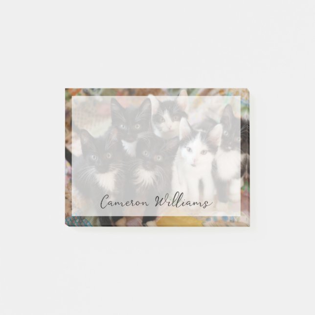 Bloco De Notas Cutest Baby Animals | Black & White Kittens (Frente)