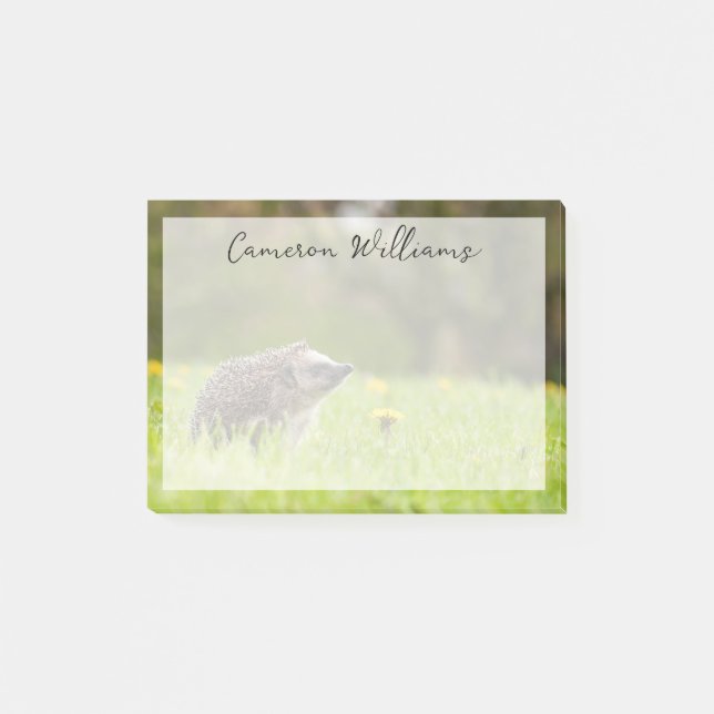 Bloco De Notas Cutest Baby Animals | European Hedgehog (Frente)